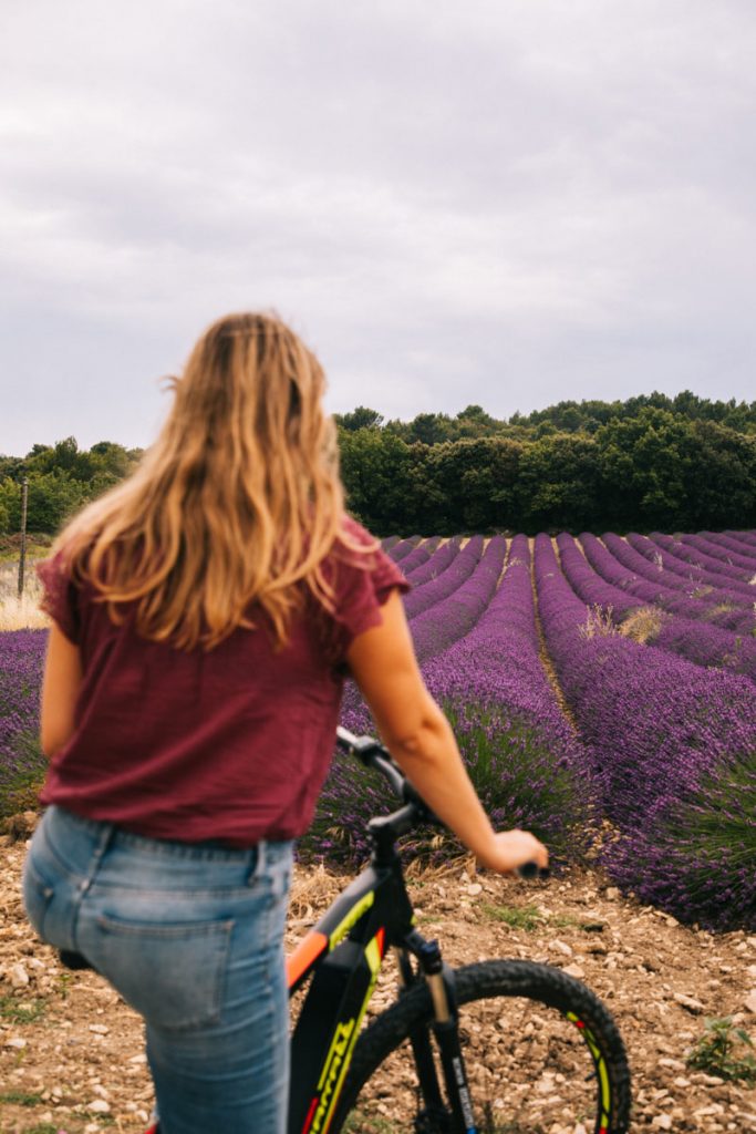 Sur la route des lavandes à vélo dans les autres de Clansaye. crédit photo : Clara Ferrand - blog WIldroad