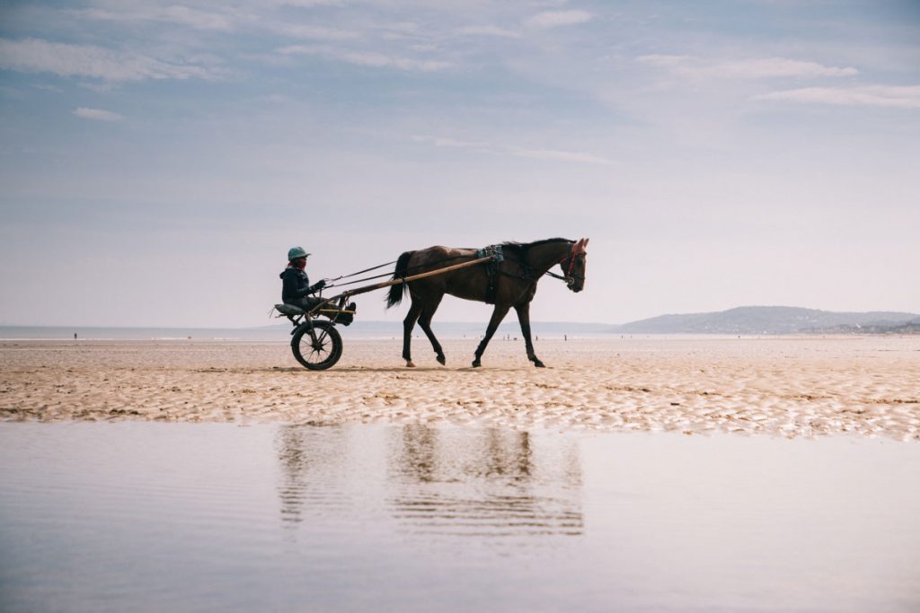 L'entrainement des chevaux de course sur la plage de Cabourg. crédit photo : Clara Ferrand - blog Wildroad