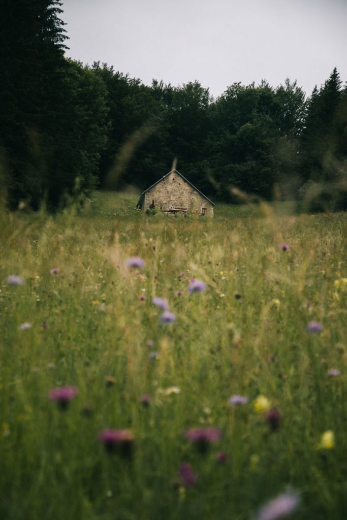 Randonnée sur plusieurs jours dans le Jura. crédit photo : Clara Ferrand - blog Wildroad