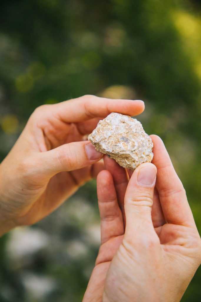 Découvrez la biodynamic en Aube en Champagne. crédit photo : Clara Ferrand - blog Wildroad