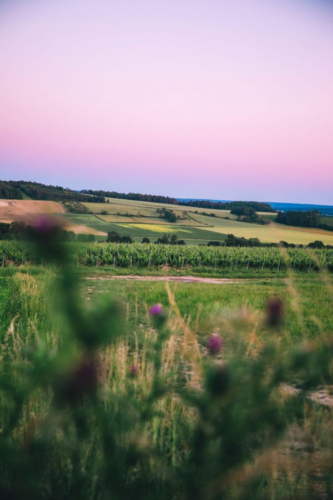 Trouver un hébergement pour un week-end dans la côte des Bar. crédit photo : Clara Ferrand - blog Wildroad