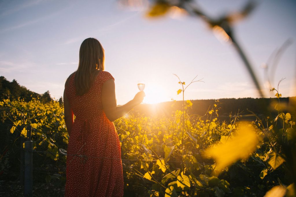 Quelle est la bonne période pour un week-end en Champagne . crédit photo : Clara Ferrand - blog WIldroad