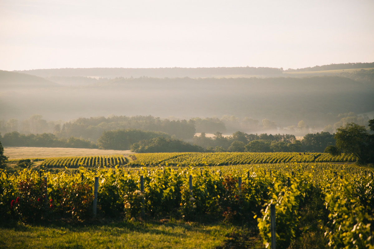découvrir la côte des Bar et la route du Champagne. crédit photo : Clara Ferrand - blog Wildroad