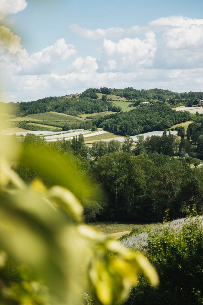 La randonnée des coteaux de Boudou jusqu'a Moissac. crédit photo : Clara Ferrand - blog Wildroad