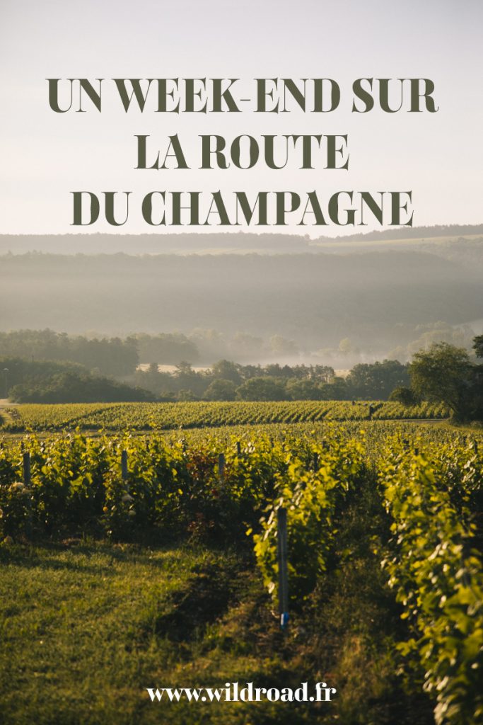 Découvrez l'itinéraire touristique de la route du Champagne dans la Côte des Bar. crédit photo : Clara Ferrand - blog Wildroad #aube #grandest #visitedecaves #champagne #weekend #romantique #france