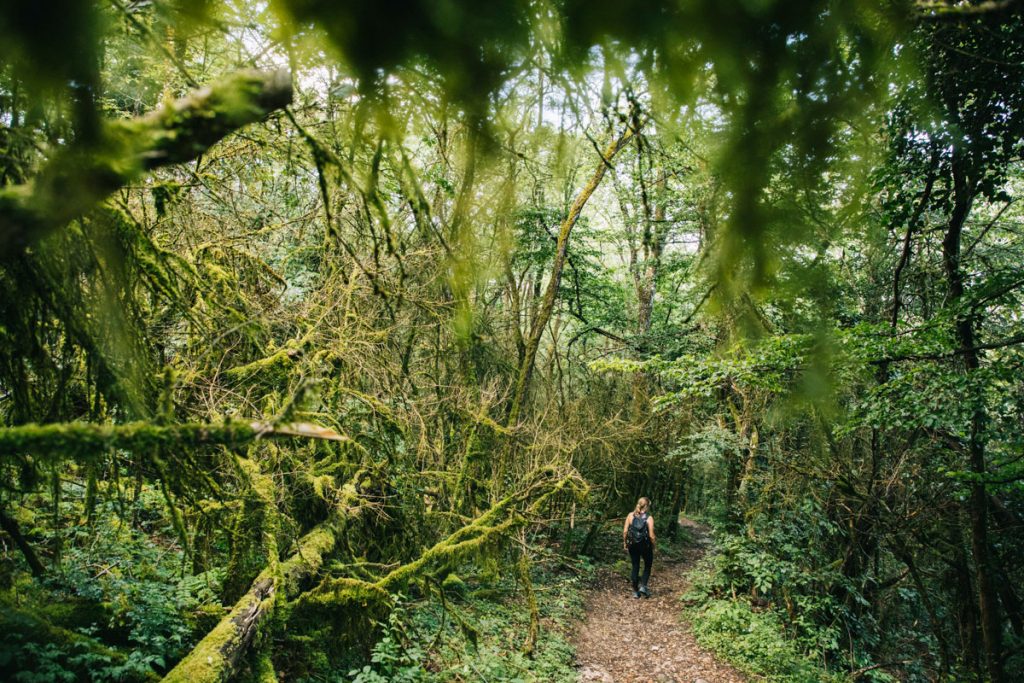 La source du Diez et la randonnée des hauts de Chanaz. crédit photo : Clara Ferrand - blog WIldroad
