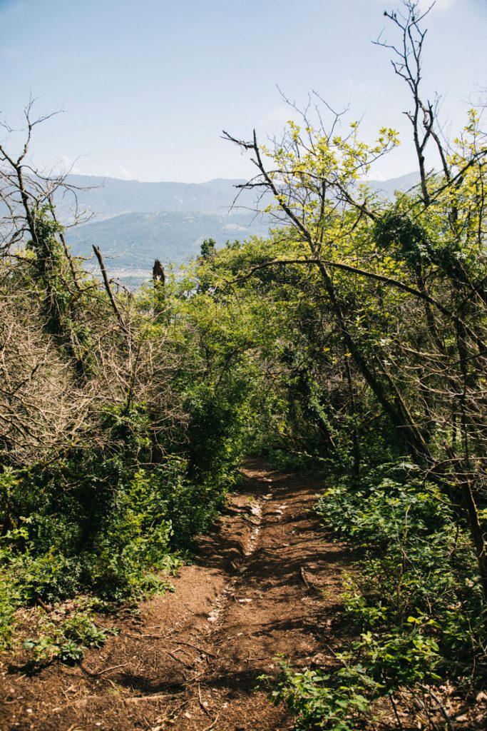 Randonnée à faire au départ de Chambery pour aller dans le massif de la Chartreuse. crédit photo : Clara Ferrand - blog Wildroad