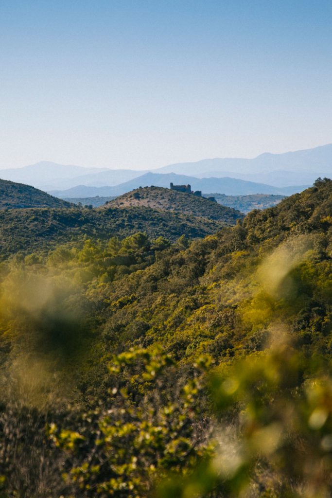 La chaîne des Pyrénées depuis le sentier cathare. crédit photo : Clara Ferrand - blog Wildroad