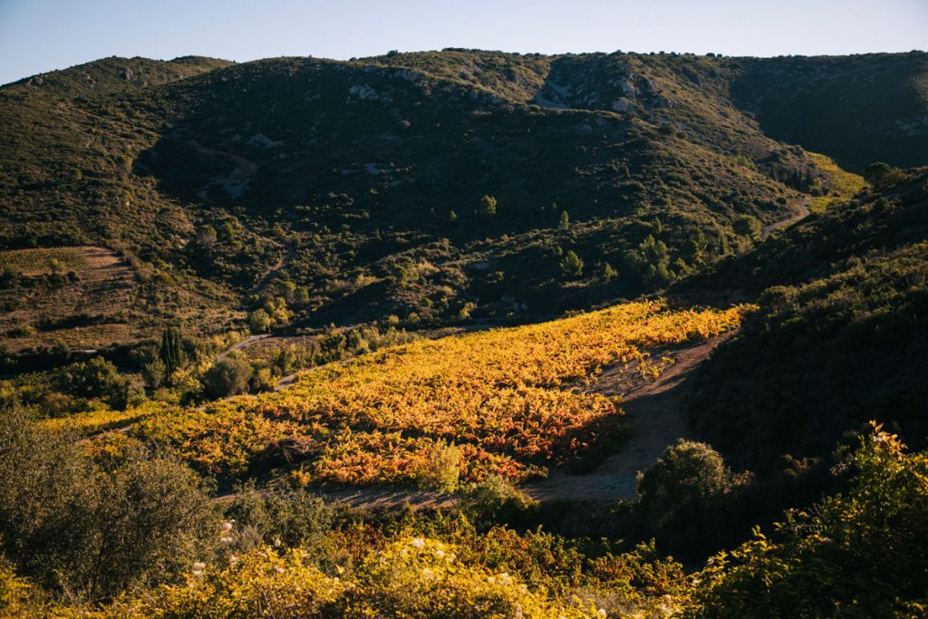 Le vignoble AOC du Fitou dans l'Aude. crédit photo : Clara Ferrand - blog Wildroad