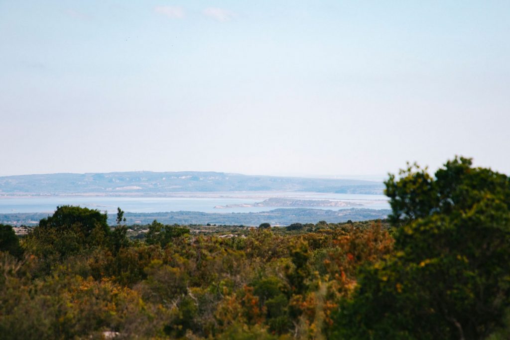 Sentier Cathare avec la vue sur la mer méditerannée et Narbonne. crédit photo : Lara Ferrand - blog WIldroad