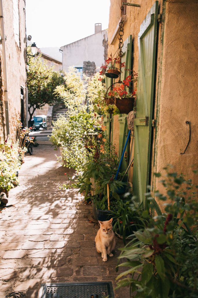 Les bonnes adresse pour manger à Duilhac-sous-peyrepertuse dans l'Aude. crédit photo : Clara Ferrand - blog Wildroad