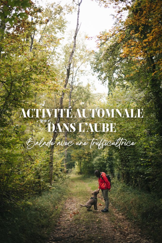 idée d'activité à faire à l'automne autour de Troyes : partir à la chasse à la truffe dans la côte des Bar. crédit photo : Clara Ferrand - blog Wildroad #côtedesbar #aube #grandest #automne #truffe #truffedebourgogne