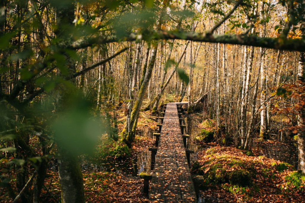 Le parc naturel régional du Perche : que voir que faire ? crédit photo : Clara Ferrand - blog Wildroad