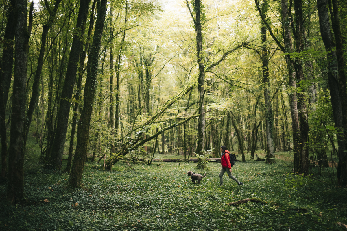 À la recherche de la truffe de bourgogne dans l'Aube. crédit photo : Clara Ferrand - blog Wildroad