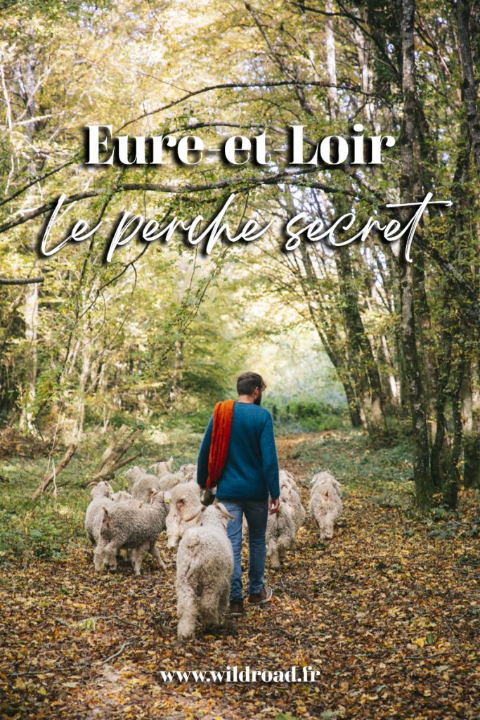 Le Perche côté Eure-et-Loir : les activité à faire lors d'un week-end automnale. crédit photo : clara Ferrand - blog Wildroad
