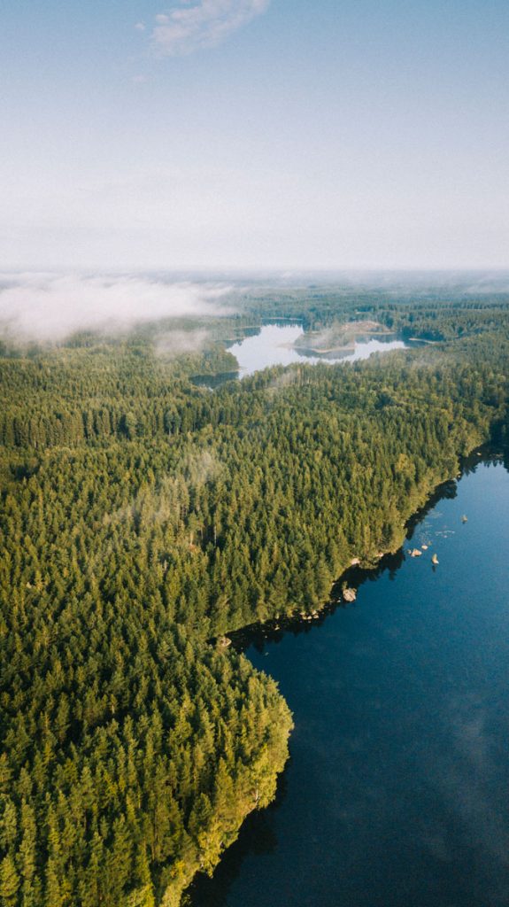 Foret et lac dans le sud de la Suède. crédit photo : Clara Ferrand - blog wildroad
