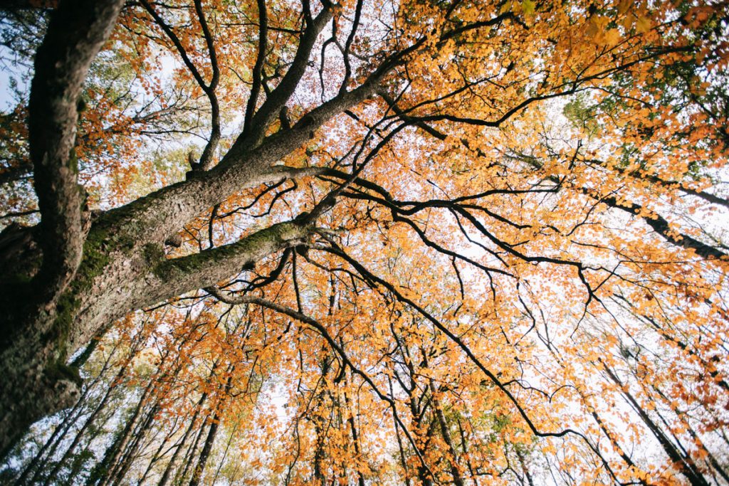 Les randonnées incontournable à faire à l'automne dans l'Eure-et-Loir. crédit photo : Clara Ferrand - blog Wildroad