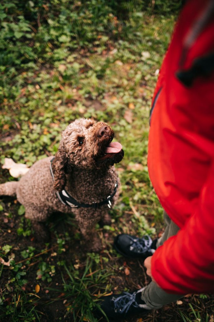 Découvrir la truffe avec l'empreinte des Fées. crédit photo : Clara Ferrand - blog Wildroad