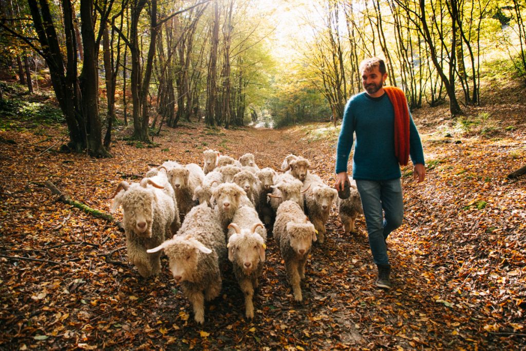Randonnée en transhumance avec un éleveur de chèvre. crédit photo : Clara Ferrand - blog Wildroad