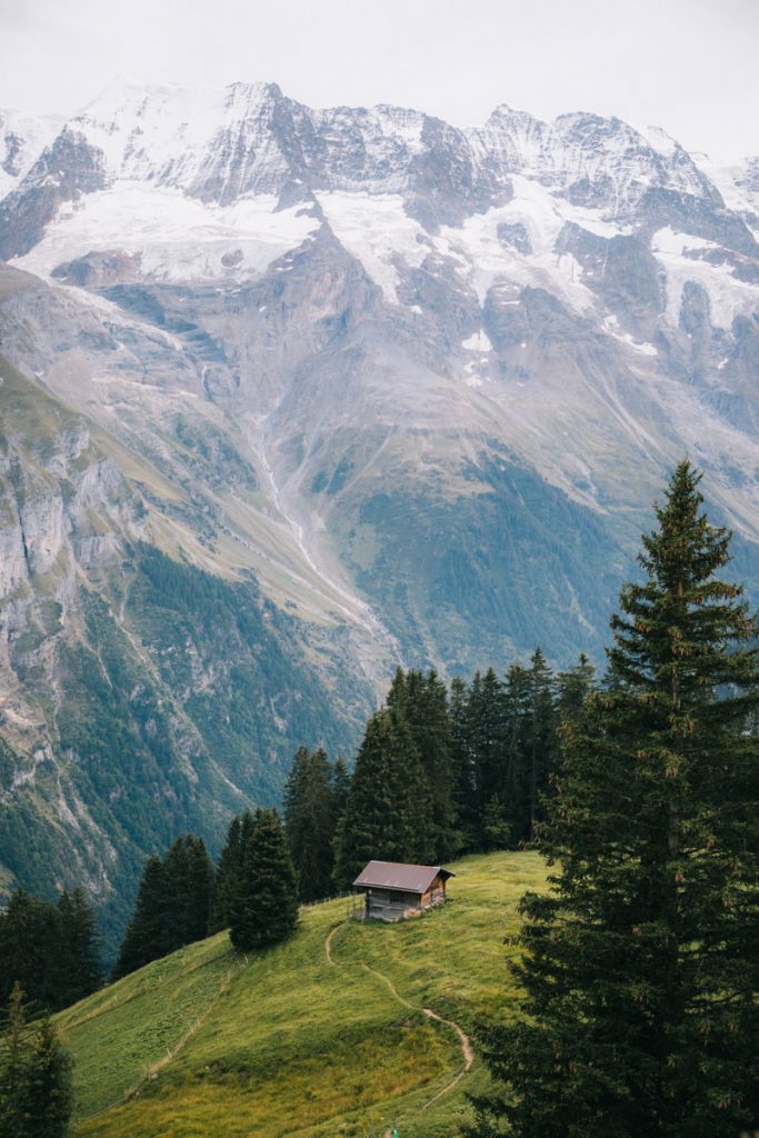 Les alpages suisses dans les montagnes de l'oberland Bernois. crédit photo : Clara Ferrand - blog Wildroad