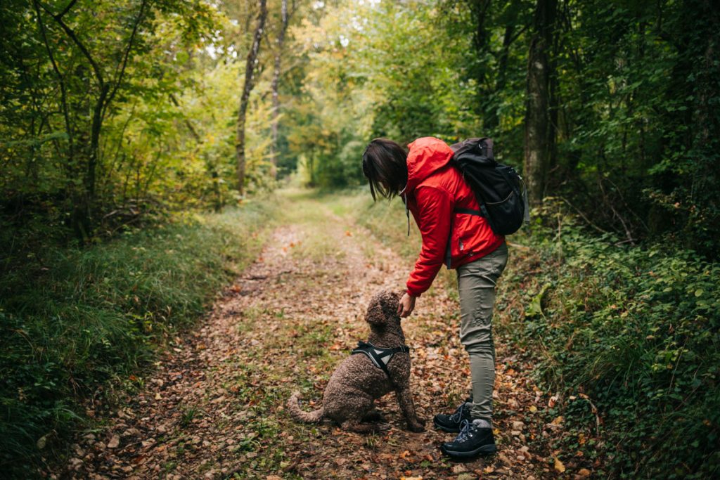 La truffe de Bourgogne, comment la trouver dans l'Aube ? crédit photo : Clara Ferrand - blog Wildroad