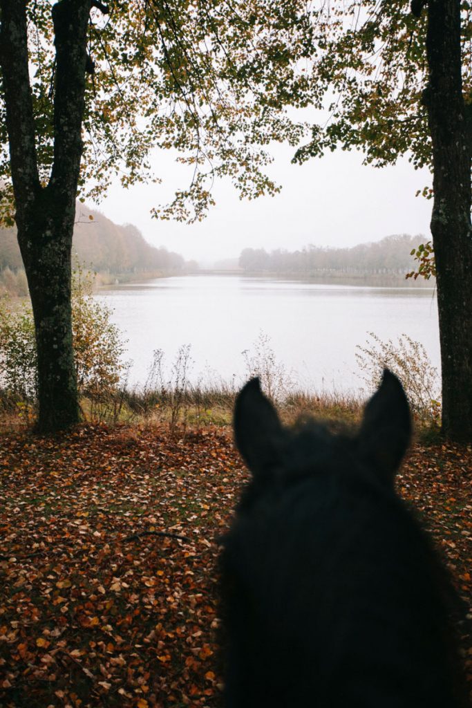 Activité à faire lors d'un week-end en Eure-et-Loir : balade à cheval dans le Perche. Credit photo : Clara Ferrand - blog Wildroad