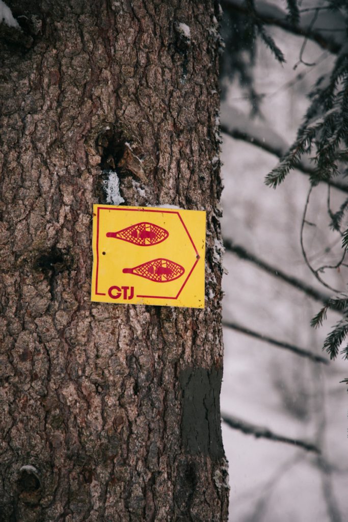 Randonnée sur la GTJ dans le Jura en hiver. crédit photo : Clara Ferrand - blog Wildroad