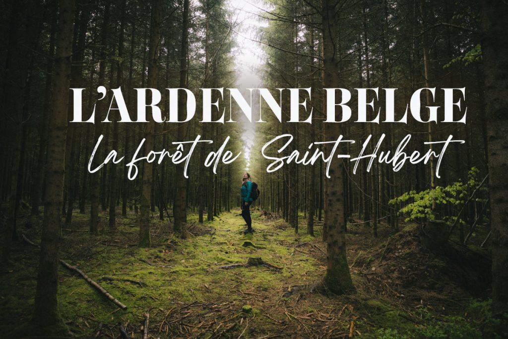 Que faire pendant un séjour dans la foret de Saint-Hubert dans l'Ardenne belges. crédit photo : Clara Ferrand - blog Wildroad