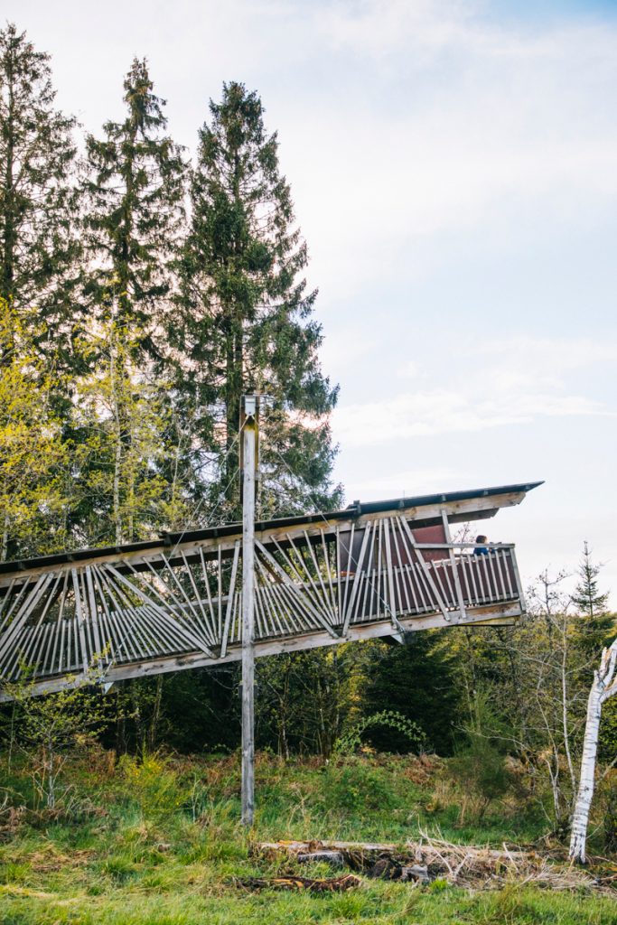 Les cabanes en libre accès pour observer les grands cerfs de la forêt de Saint-Hubert. crédit photo : Clara Ferrand - blog Wildroad