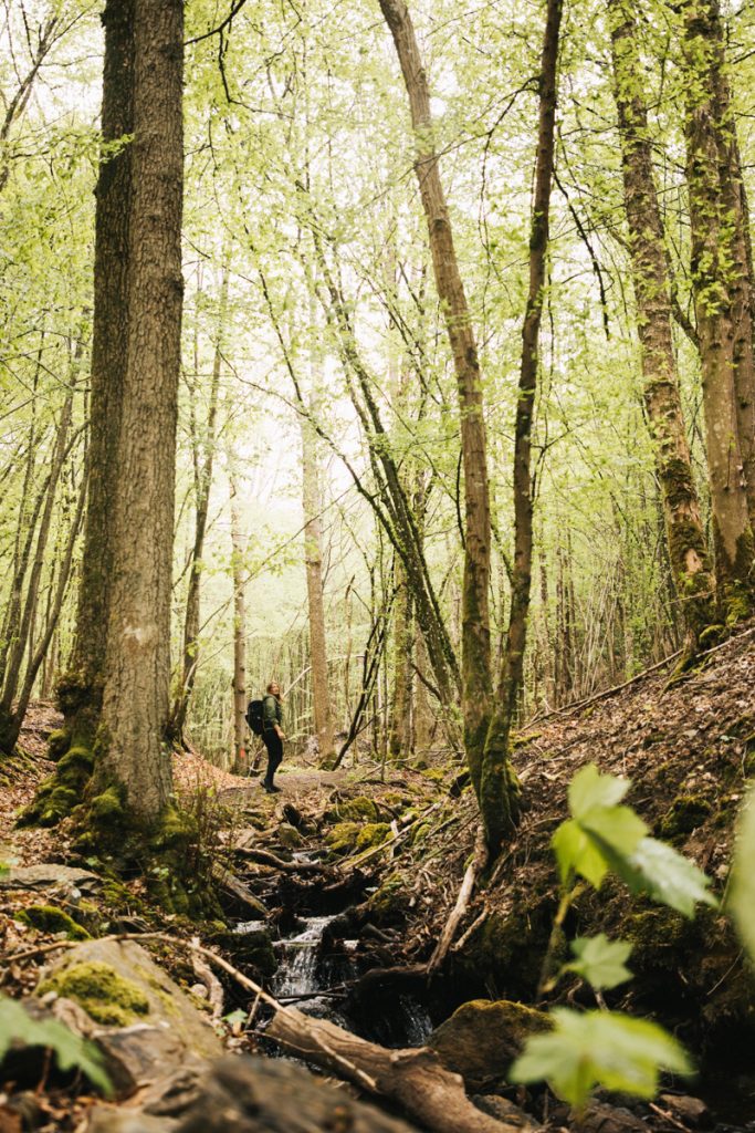 Randonnée et promenade faciles à faire dan spa forêt de Saint-Hubert : le bois de macho; crédit photo : Clara Ferrand - blog Wildroad