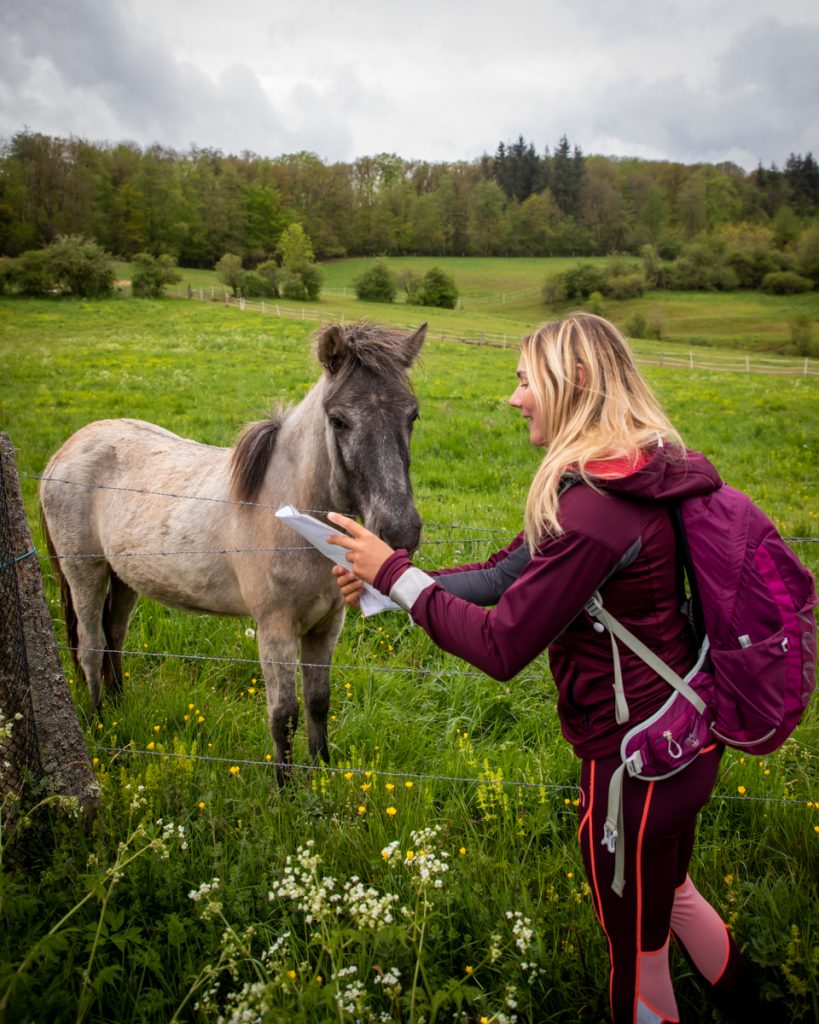 Évènement de la course novardenne dans les Ardennes Belges à Saint-Hubert. crédit photo : Clara Ferrand - blog Wildroad