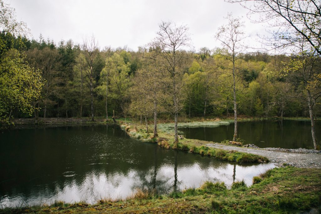 Basisn de pisciculture dans les Ardennes Belges. crédit photo : Clara Ferrand - blog Wildroad