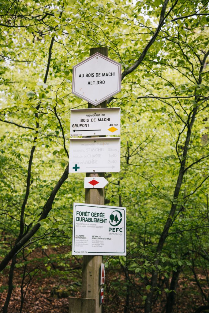 Randonnée du bois de Machi en Belgique. crédit photo : Clara Ferrand - blog WIldroad