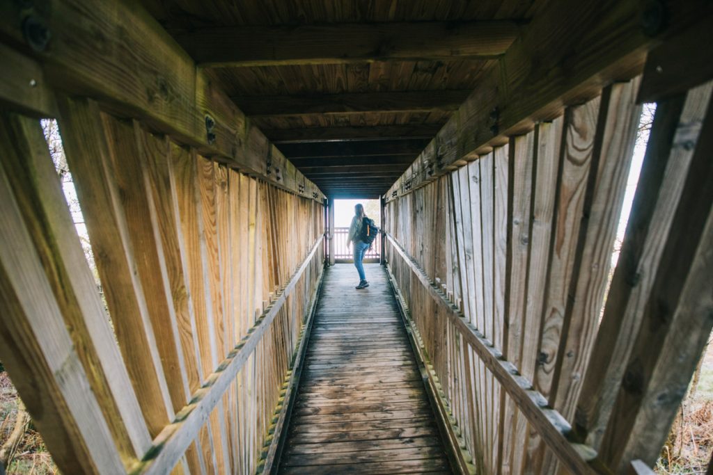 Cabane d'observation de la faune en Belgique. crédit photo : Clara Ferrand - blog Wildroad