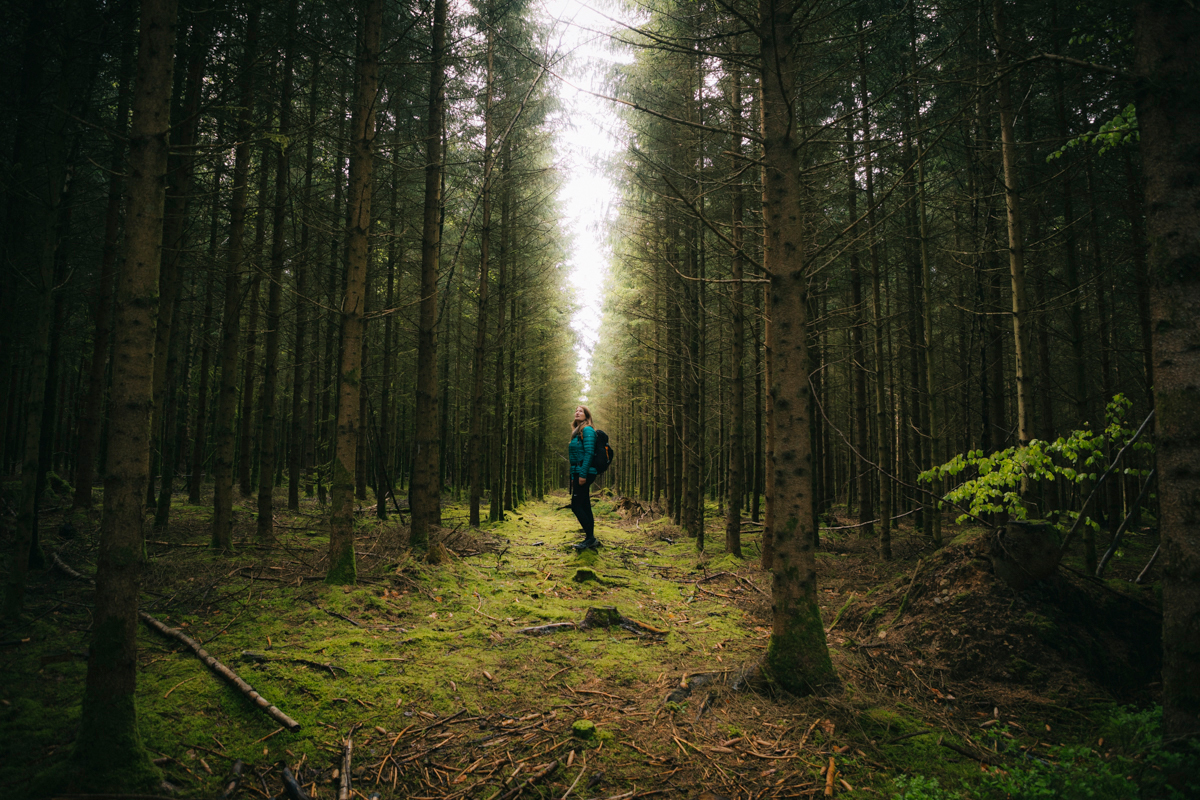 Découvrir les Ardennes Belges pendant un week-end nature autour de Saint-Hubert. crédit photo : Clara Ferrand - blog Wildroad