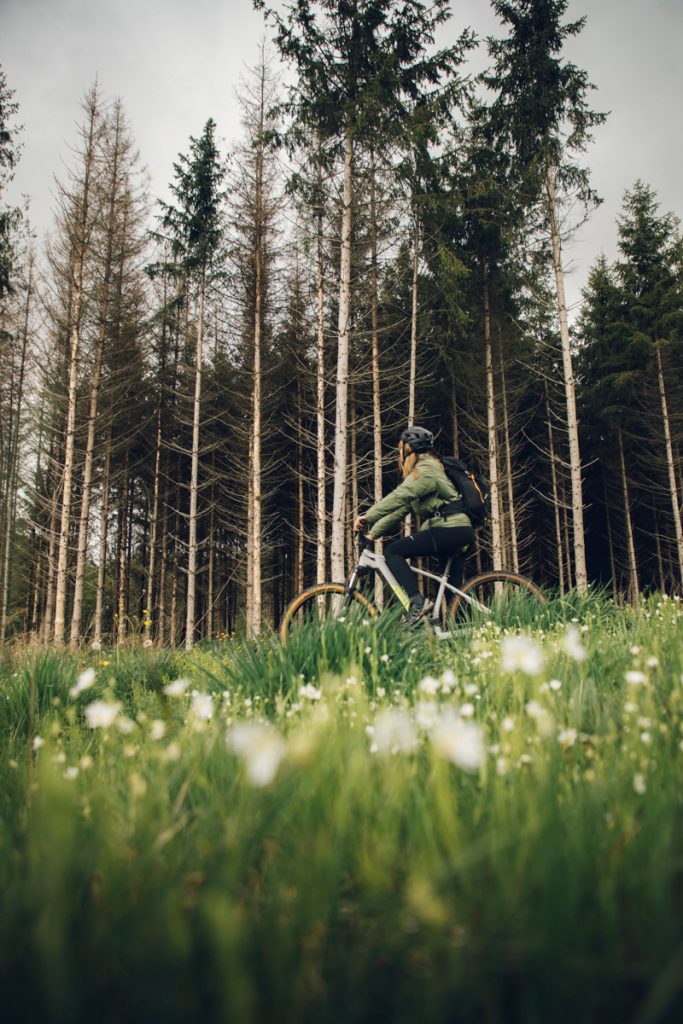 Les itinéraire de vTT dans la foret des Ardennes Belges. crédit photo : Clara Ferrand - blog Wildroad