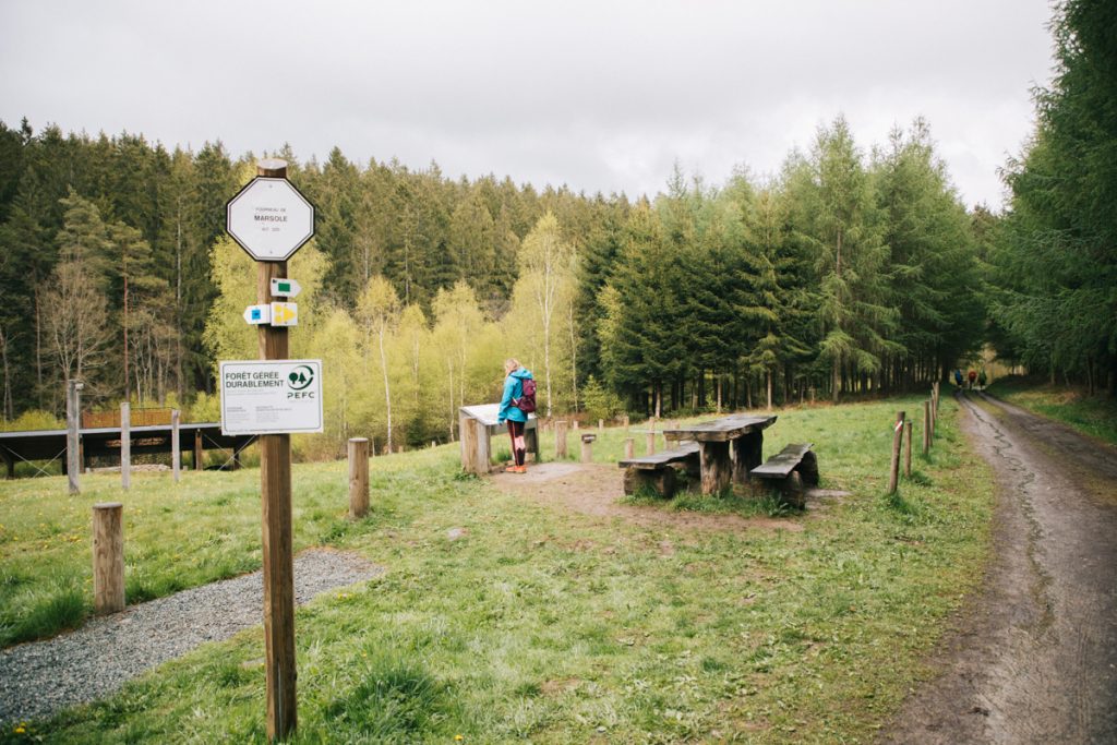 La promenade du bois de Marsole dans l'Ardenne belge. crédit photo : Clara Ferrand - blog Wildroad