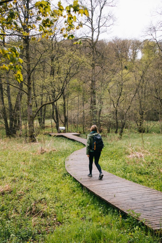 Se promener dans les Ardenne Belge : la randonnée entre Lesse et Lomme. crédit photo : Clara Ferrand - blog Wildroad