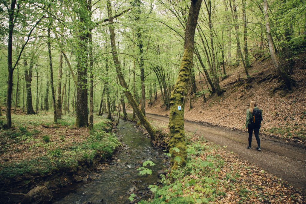 Teek itinérant dans les Ardennes Belges ; entre lesse et Lomme. crédit photo : Clara Ferrand - blog Wildroad
