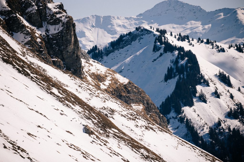 Observation de chamois dans le massif des Bauges. crédit photo : Clara Ferrand - blog Wildroad