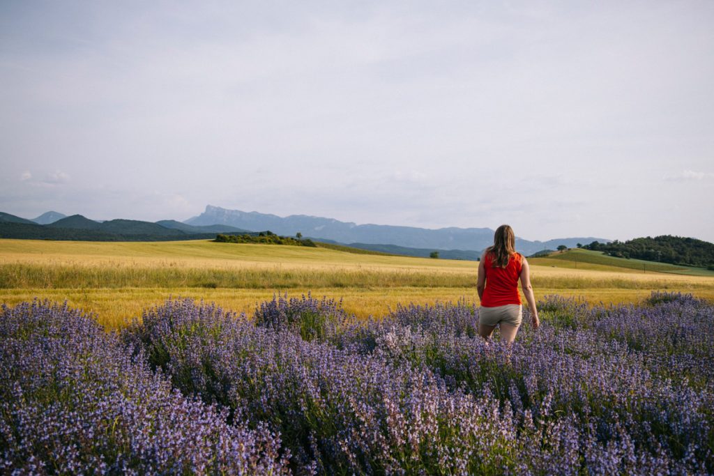 Le plateau des Chaux. crédit photo : Clara Ferrand - blog Wildroad