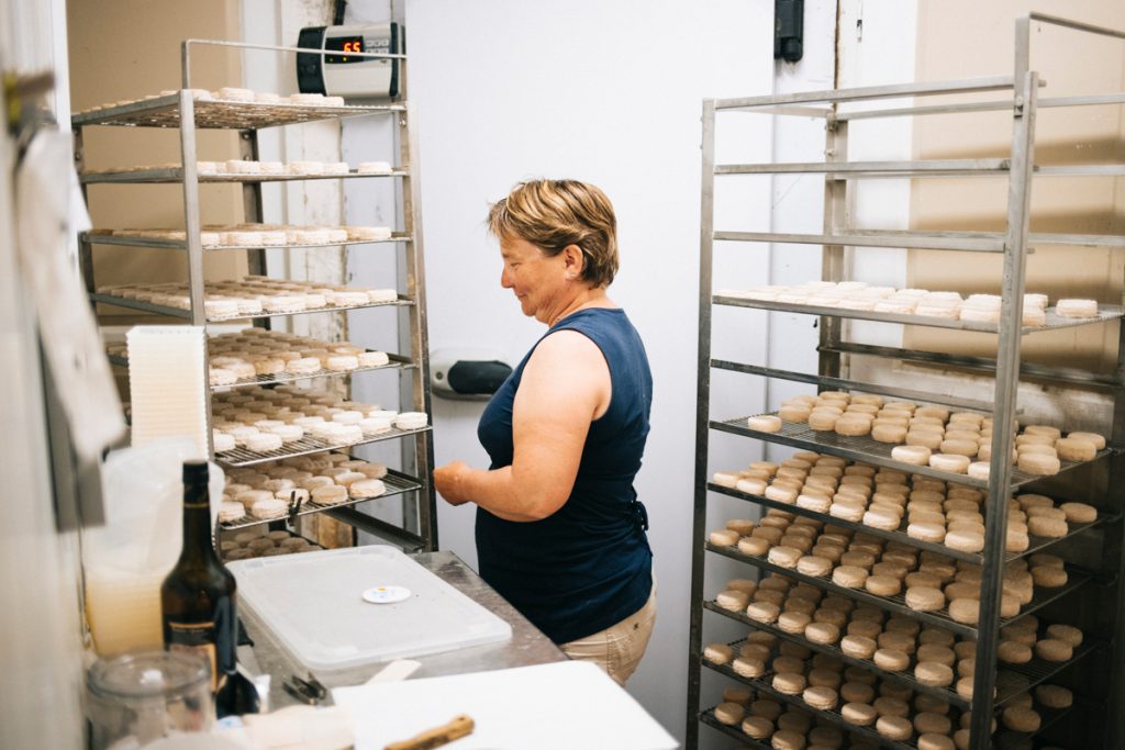 Production de fromage pico don AOP à la ferme de Saint-Pancrace à Suze. crédit photo : Clara Ferrand - blog Wildroad