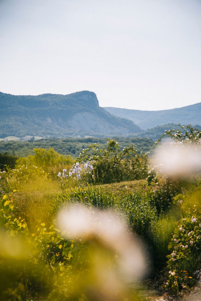 Sanoflore et la Biovallée dans la vallée de la Drôme. crédit photo : Clara Ferrand - blog Wildroad