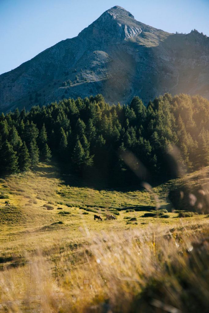 Alpages aux Orres dans les Hautes-Alpes. crédit photo : Clara Ferrand - blog Wildroad