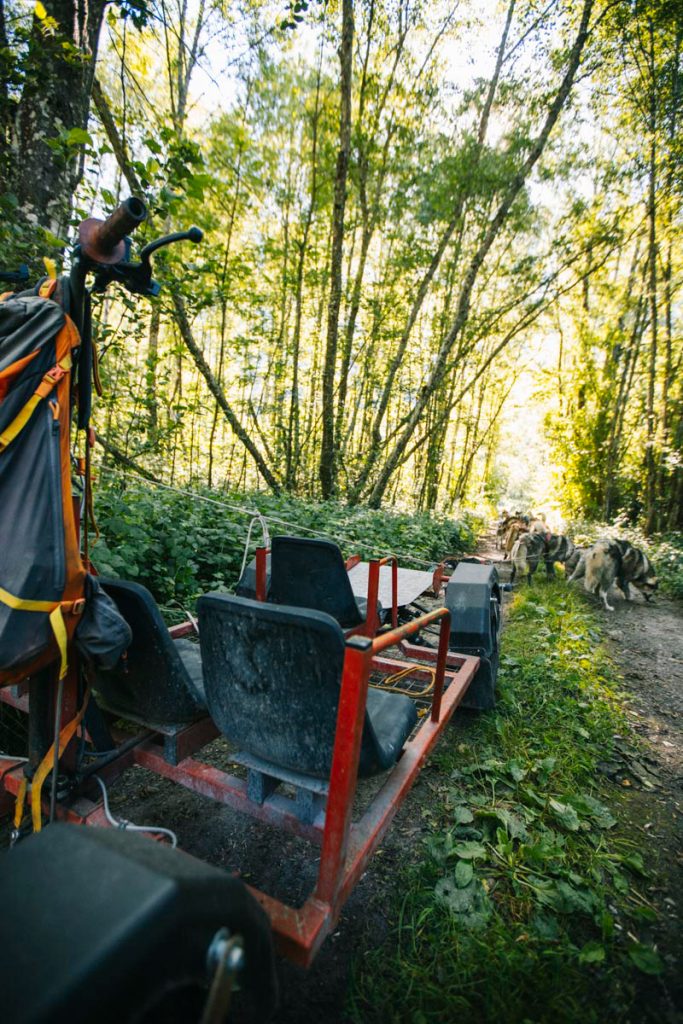 Activité original à faire l'été en montagne : le Cani kart ou la Cani rando. crédit photo : Clara Ferrand - blog Wildroad
