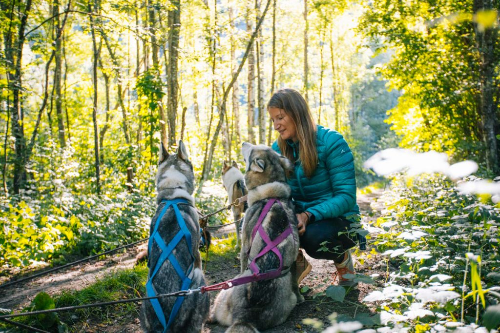 Vivre l'expérience du Cani kart avec des husky. crédit photo : Clara Ferrand - blog WIldroad