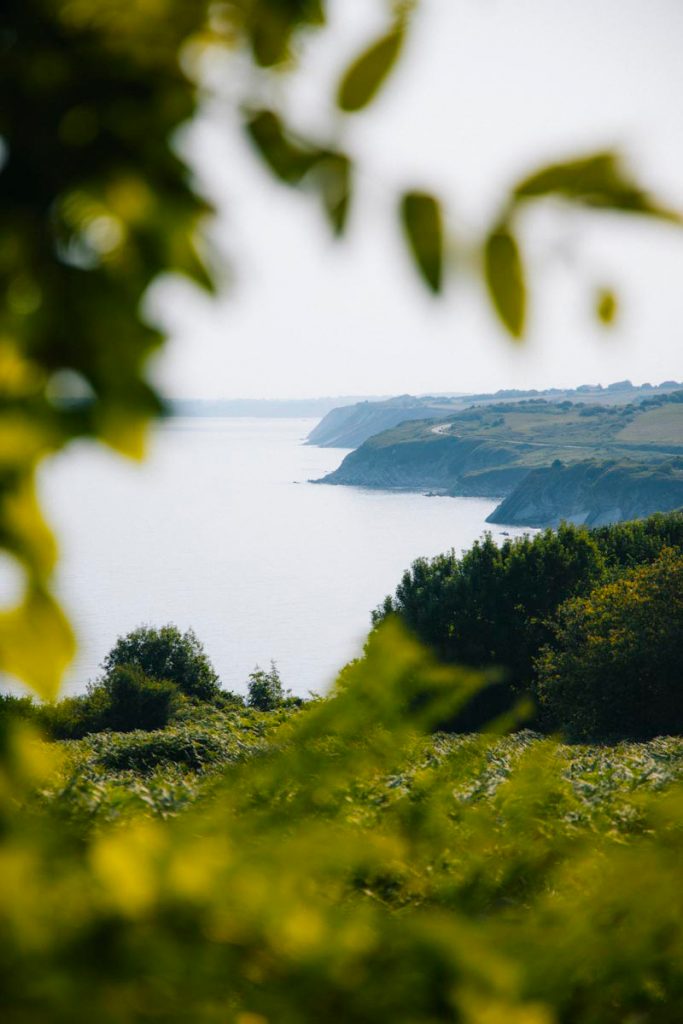 Les points de vues depuis le sentier du littoral entre Hendaye et Saint-jean-de-Luz. crédit photo : Clara Ferrand - blog Wildroad