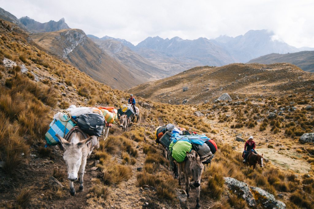 Les muletiers qui transporte les bagages sur le tour du Huayhuash. crédit photo : Clara Ferrand - blog Wildroad