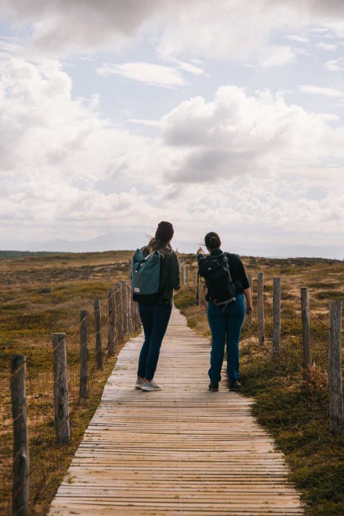 Découverte de la flore des dunes des Landes avec une botaniste. crédit photo : Clara Ferrand - blog Wildroad