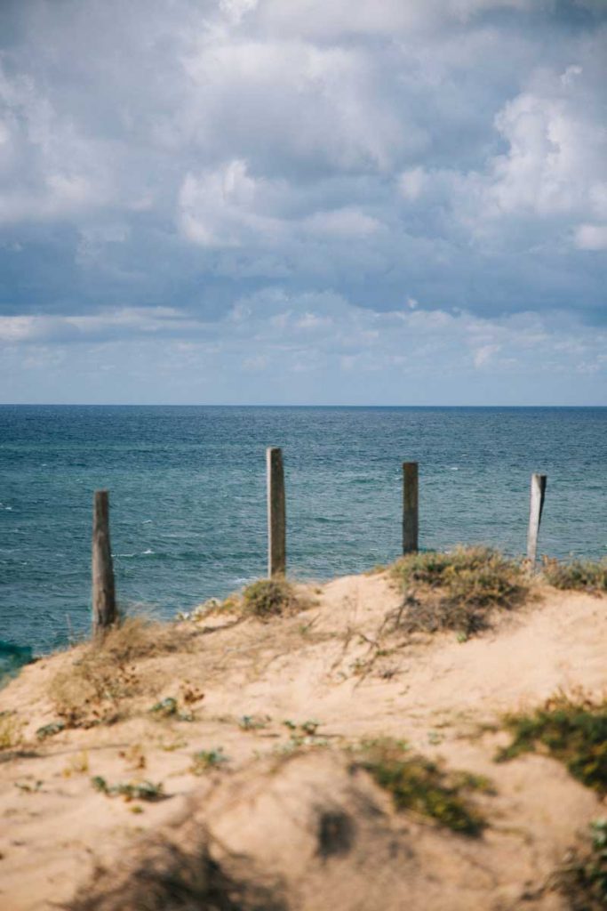 Les bonnes adresses pour manger sur la côte landaise. crédit photo : Clara Ferrand - blog Wildroad
